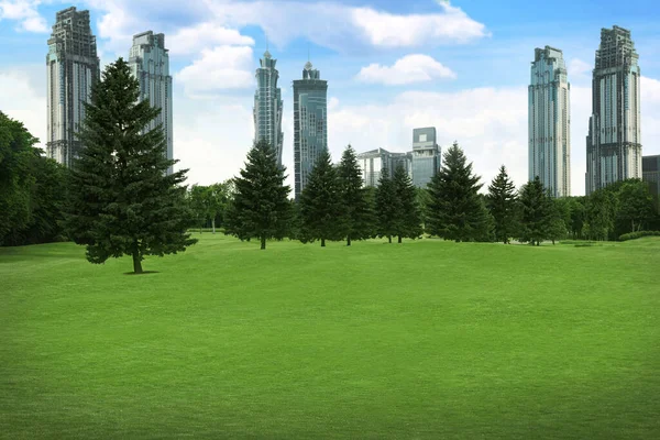 Schöne Aussicht Auf Park Mit Grünem Rasen Und Stadtbild Sonnigen — Stockfoto