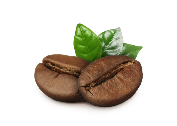 Aromatische Geröstete Kaffeebohnen Und Frische Grüne Blätter Auf Weißem Hintergrund — Stockfoto
