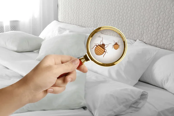 寝室のベッドの虫を検出する虫眼鏡の女性 クローズアップ — ストック写真