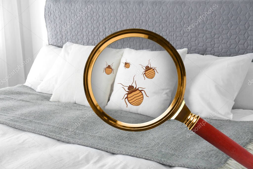 Magnifying glass detecting bed bug in bedroom, closeup view