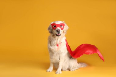 Sarı arka planda kırmızı süper kahraman pelerinli ve maskeli sevimli bir köpek.