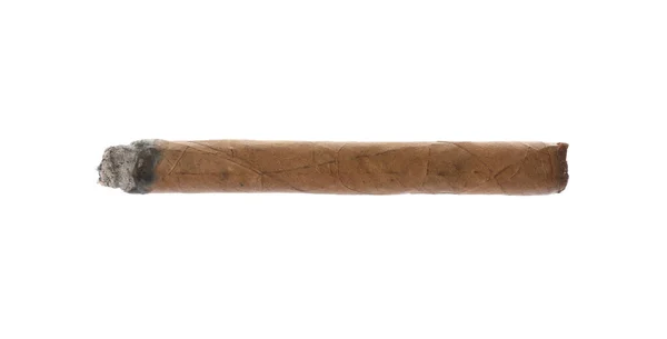 One Brown Cigar Smoldering Isolated White — Stock Photo, Image
