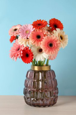 Masadaki vazoda açık mavi arka planda duran güzel renkli Gerbera çiçekleri.