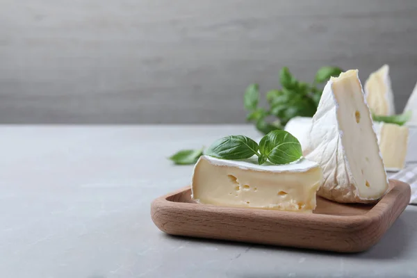Delicious Brie Cheese Basil Light Grey Table Space Text — Stock Photo, Image