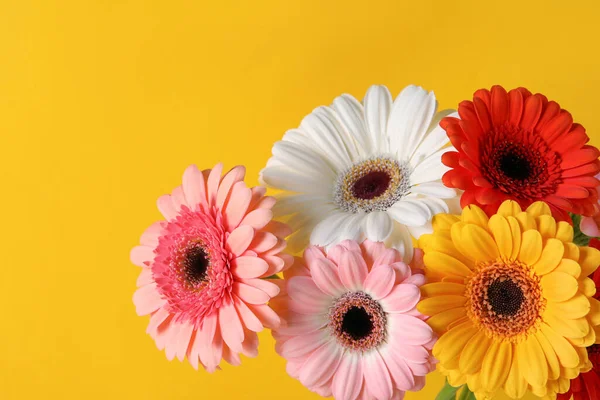 黄色の背景に美しいカラフルなガーベラの花の花束 — ストック写真