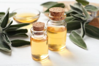 Beyaz masadaki yağ şişeleri ve taze adaçayı yaprakları, yakın plan.