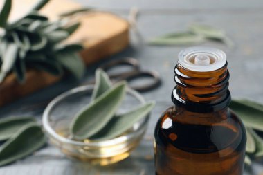 Gri masada bir şişe adaçayı yağı, yakın plan. Metin için boşluk