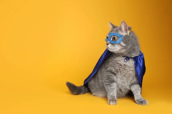Schattige Kat Blauwe Superheld Cape Masker Gele Achtergrond Ruimte Voor — Stockfoto