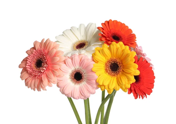 Buquê Belas Flores Coloridas Gerbera Fundo Branco — Fotografia de Stock