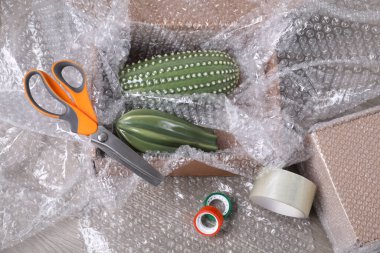 Ceramic cacti with bubble wrap in cardboard box, scissors and adhesive tapes on wooden table clipart
