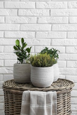 Beyaz tuğla duvarın yanında hasır sepetin üzerinde farklı aromatik saksılar var.