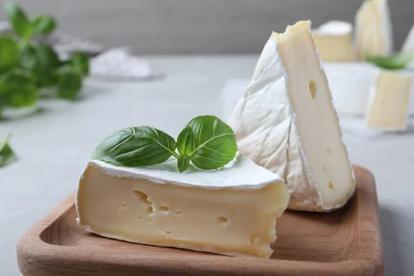 Delicioso Queso Brie Con Albahaca Sobre Mesa Gris Claro Primer —  Fotos de Stock
