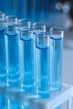Reaktörlü test tüpleri bulanık arka planda, yakın plan. Laboratuvar analizi