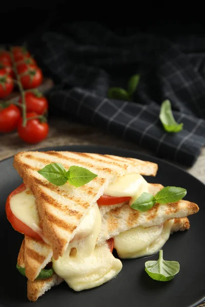 Delicious Grilled Sandwiches Mozzarella Tomatoes Basil Black Plate Closeup Space — Stock Photo, Image