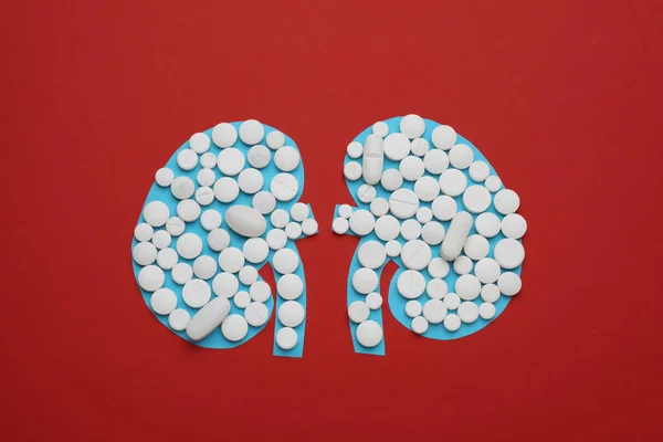 Paper Cutout Kidneys Pills Red Background Top View — Stock Photo, Image