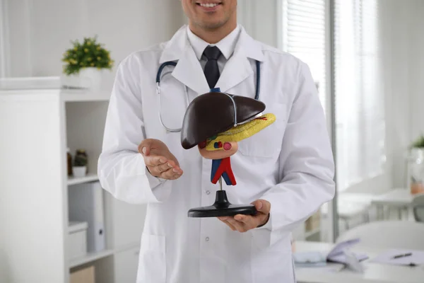 Doktor Demonstrující Model Jater Klinice Detailní Záběr — Stock fotografie
