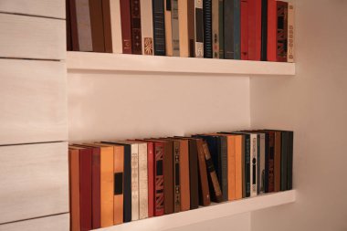 Raflardaki farklı kitapların koleksiyonu. Ev kitaplığı