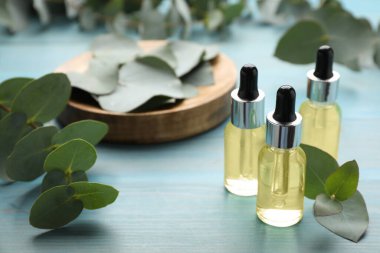 Okaliptüs şişeleri açık mavi ahşap masa üzerinde gerekli yağ ve bitki dalları