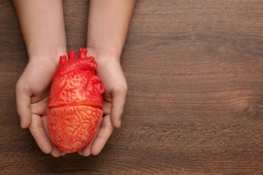 Ahşap arka planda kalp modelini tutan adam, üst görüş ve metin için boşluk. Kardiyoloji kavramı