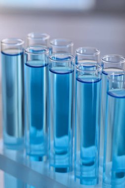 Bulanık arka planda, rafta reaktörlü test tüpleri, yakın plan. Laboratuvar analizi