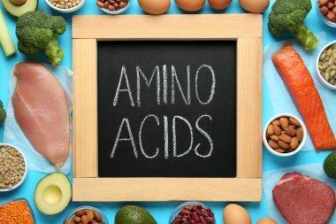 Açık mavi zemin üzerinde amino asit açısından zengin ürünlerle düz konum