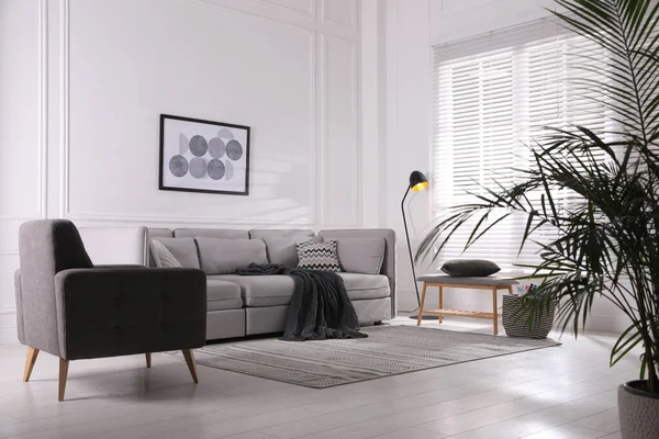 Gemütliche Wohnzimmereinrichtung Mit Bequemem Grauen Sofa Und Sessel — Stockfoto