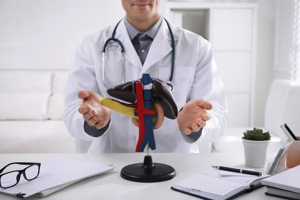Doctor Demonstrating Model Liver Table Clinic Closeup — Stock Photo, Image