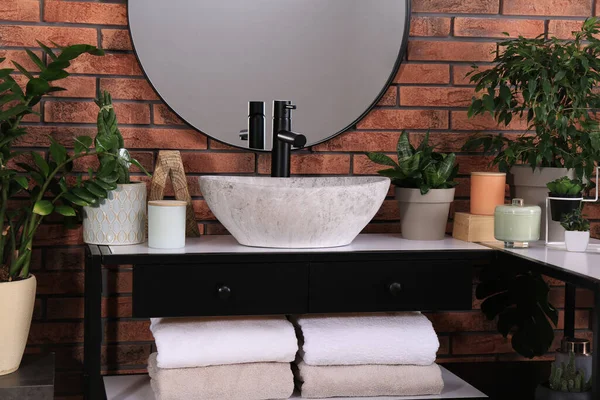 Stylish Sink Beautiful Green Houseplants Bathroom Interior Design — Stock Photo, Image