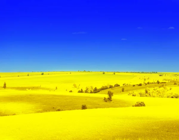 Drapeau Ukrainien Vue Pittoresque Paysage Jaune Sous Ciel Bleu — Photo