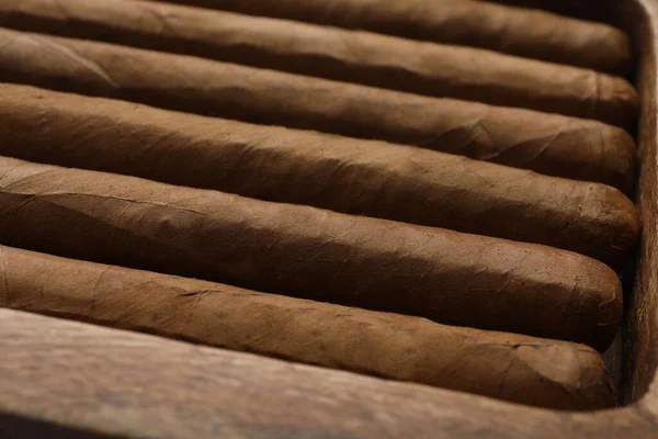 Closeup View Many Cigars Background — Stock Photo, Image