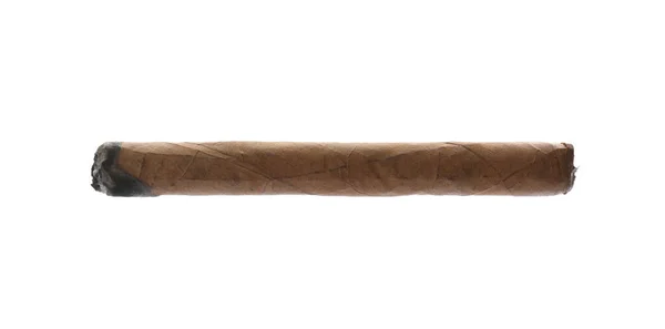 Одна Сигара Коричневого Кольору Ізольована Білому — стокове фото
