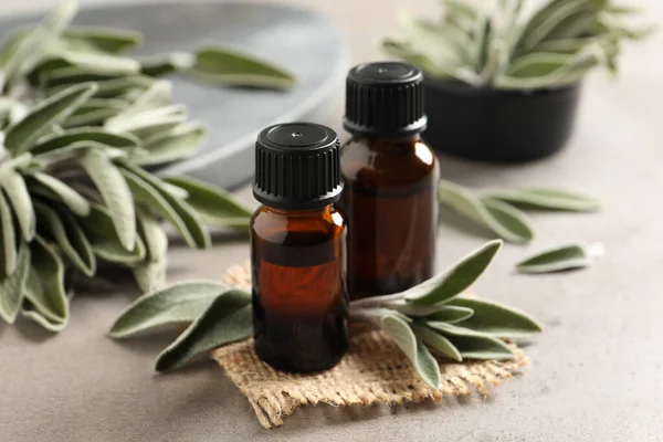 Bottles Essential Sage Oil Twigs Leaves Light Grey Table — Stock Photo, Image