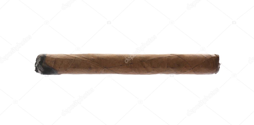 One brown cigar smoldering isolated on white