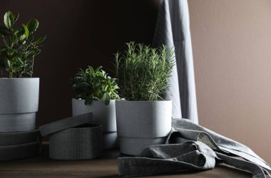 Ahşap masada farklı aromatik saksılar var.