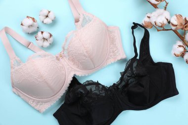 Zarif, büyük beden kadın sütyeni ve açık mavi arka planda yumuşacık pamuk çiçekleri.