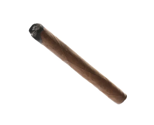 One Brown Cigar Smoldering Isolated White — Stock Photo, Image