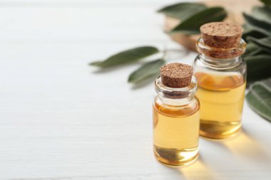 Beyaz masa üzerinde bir şişe adaçayı yağı, yakın plan. Metin için boşluk