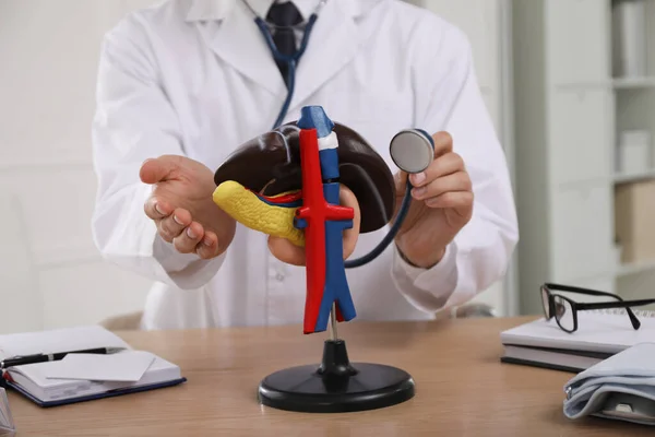 Doctor with stethoscope and liver model at workplace, closeup