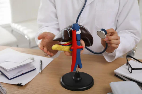 Doctor with stethoscope and liver model at workplace, closeup