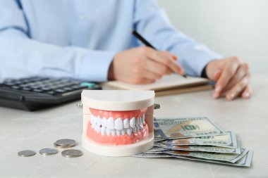 Eğitici dişçi tipodont modeli ve açık gri masada para. Pahalı tedavi