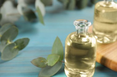Bir şişe okaliptüs esaslı yağ ve bitki dalları açık mavi ahşap masa üzerinde, yakın plan. Metin için boşluk