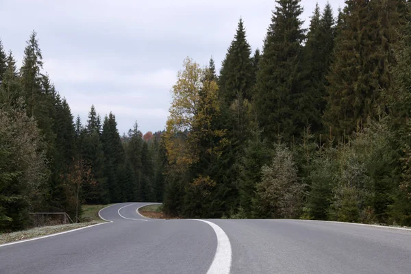 Piękny Widok Asfaltową Autostradę Przechodzącą Przez Las Iglasty Jesienny Sezon — Zdjęcie stockowe