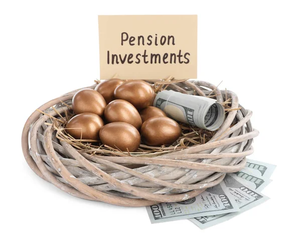 Mnoho Zlatých Vajec Hnízdě Peníze Karty Frází Pension Investments Bílém — Stock fotografie