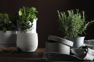 Ahşap masada farklı aromatik saksılar var.