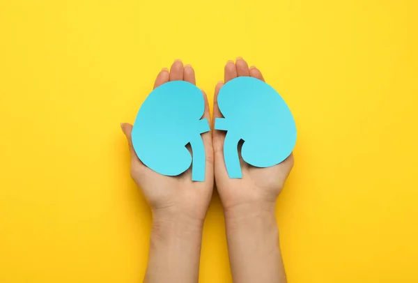 Woman Holding Paper Cutout Kidneys Yellow Background Top View — Stock Photo, Image