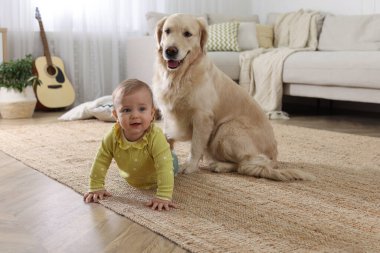 Evinde yerde sevimli bir köpeği olan şirin bir bebek.