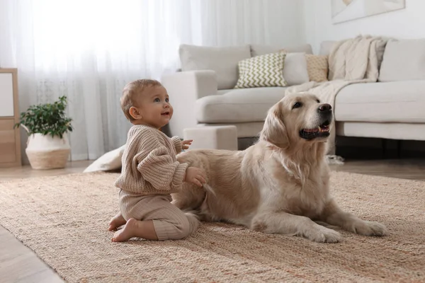 Evinde yerde sevimli bir köpeği olan şirin bir bebek.