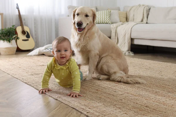 Мила Маленька Дитина Чарівною Собакою Підлозі Вдома — стокове фото