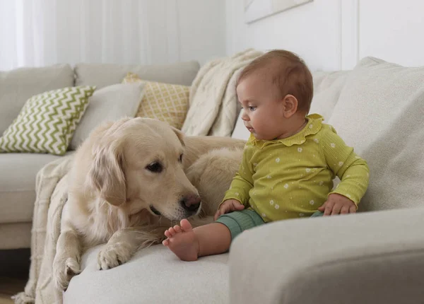 Carino Piccolo Bambino Con Adorabile Cane Sul Divano Casa — Foto Stock