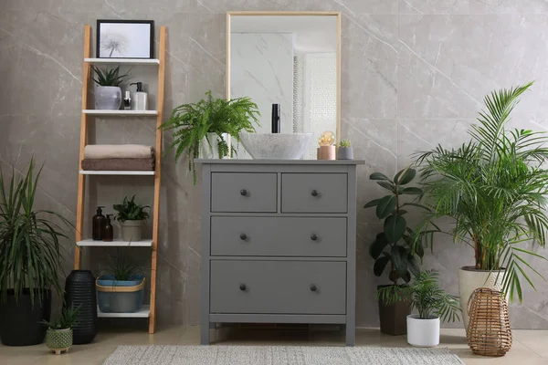 现代化的浴室内部 有时尚的器皿槽和漂亮的绿色室内植物 — 图库照片